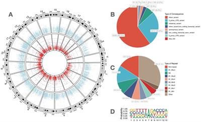 Epitranscriptomic investigation of myopia-associated RNA editing in the retina